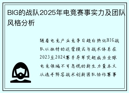 BIG的战队2025年电竞赛事实力及团队风格分析